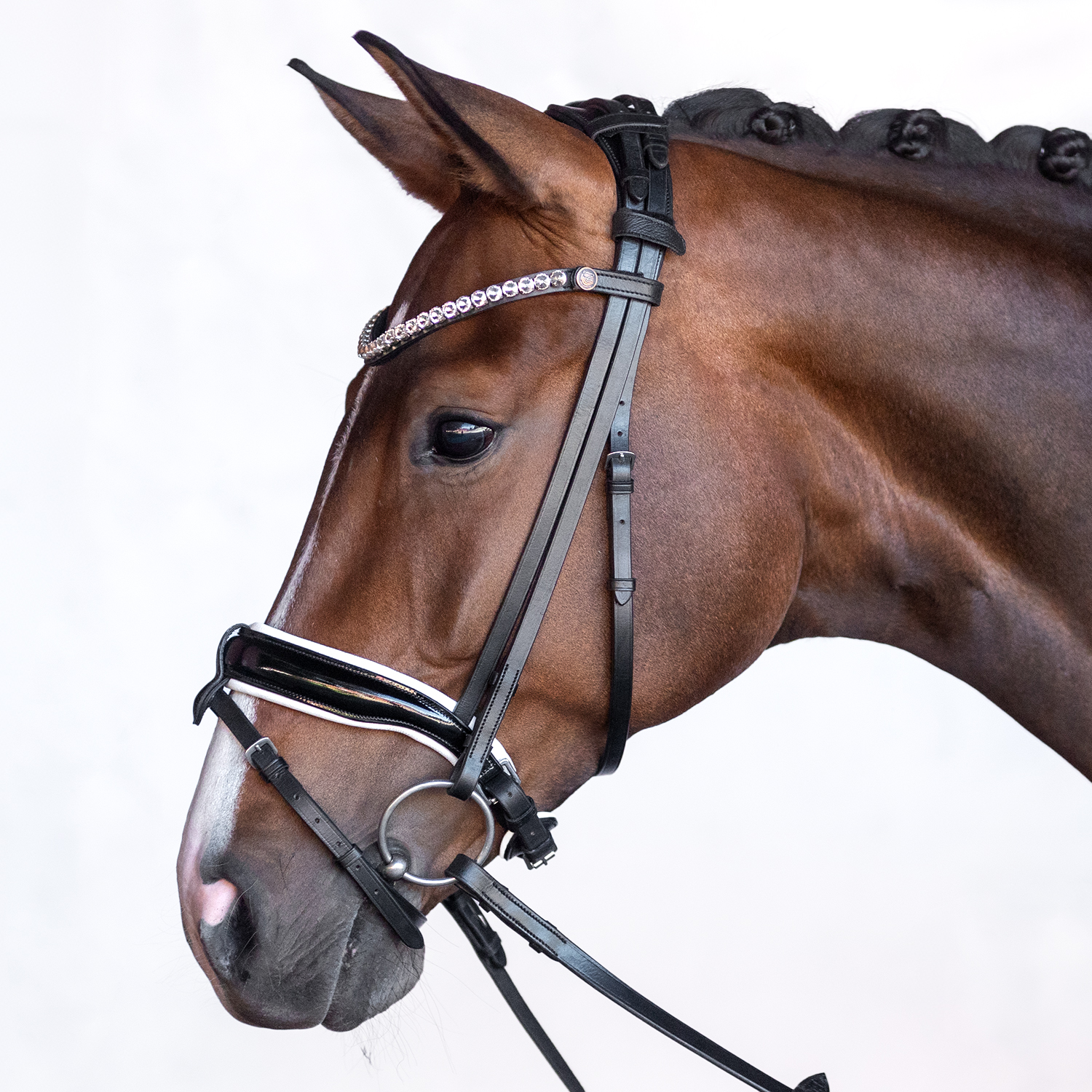 Bridle Velvet Cob Swedish Patent White Padding