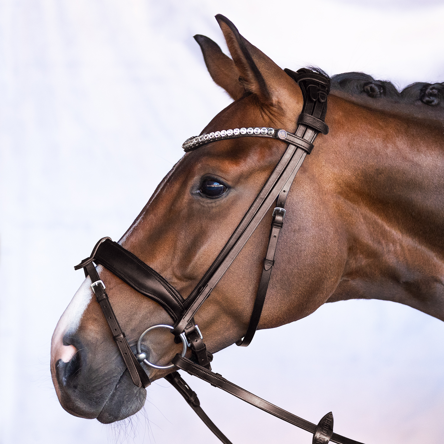 Trense Velvet Braun Warmblut Schwedisch Matt 