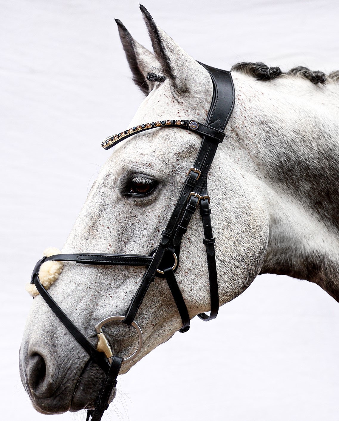 Bridle Elite