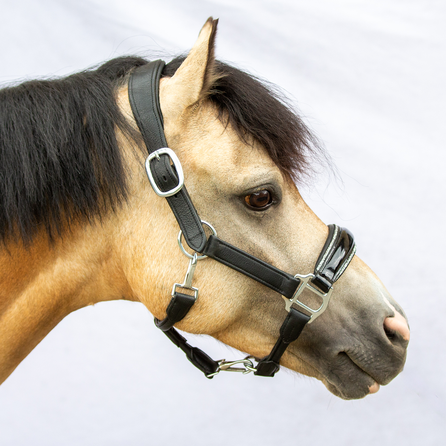 Soft-Leather Halter Eternity Pony Silver Crystal Piping