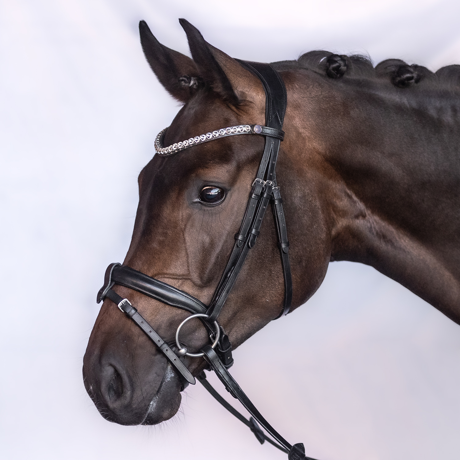 Bridle Charm Cob Swedish Matt Slim