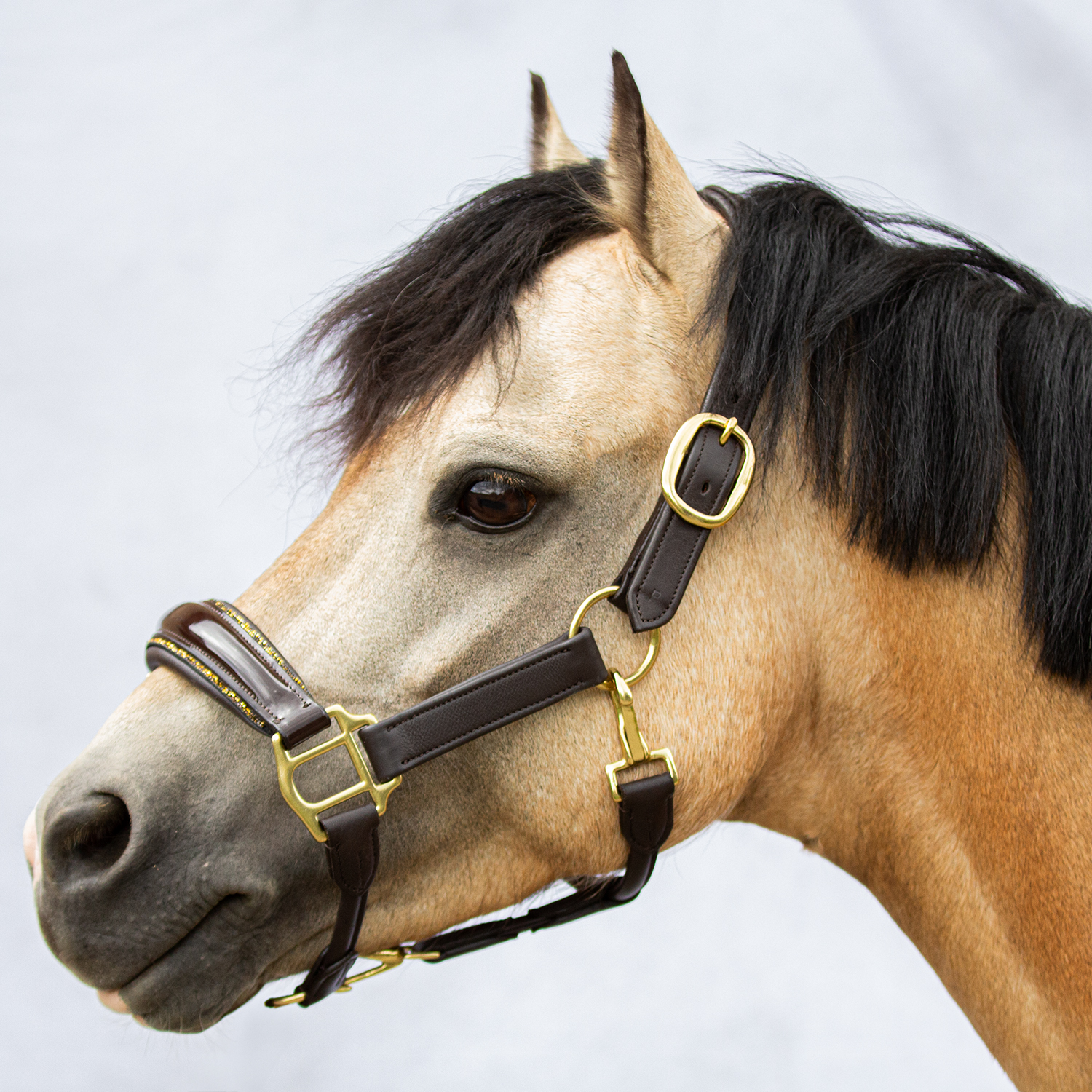 Soft-Leather Halter Eternity Brown Pony Gold Crystal Piping